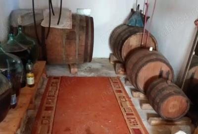 Casă cu 4 camere cu Teren 3600 Mp în Obislavu - 2