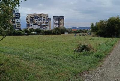 Teren intravilan 8000 mp , DR.D.Vechi - 4