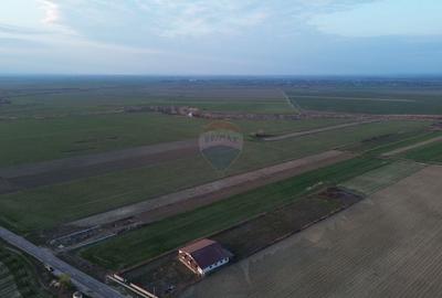 Teren Construcții intravilan de 12360 mp, în Boțârlău - 4