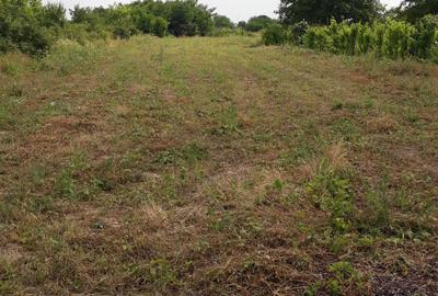 Spațiu comercial, în Central - 1