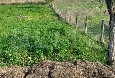 Teren de 4252 mp, în Vulcana-Pandele - 3