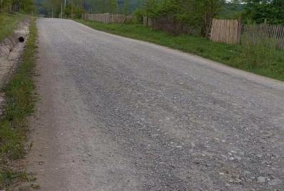 Teren de 3465 mp, în Trăisteni - 8