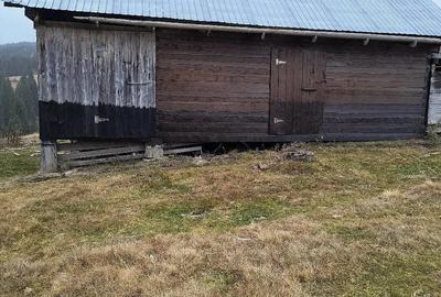 Casă în Albac - 4