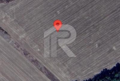 Com GRUIU_Reprezentare exclusiva_TEREN  EXTRAVILAN LANGA PADURE - 4