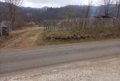 Teren de 2800 mp, în Dofteana - 6