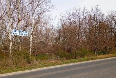Teren intravilan 5.000 m² cu 40 m deschidere la DN2A – langa Kaufland Slobozia - 12