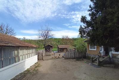 Casă cu Teren 2480 Mp în Păltinișu