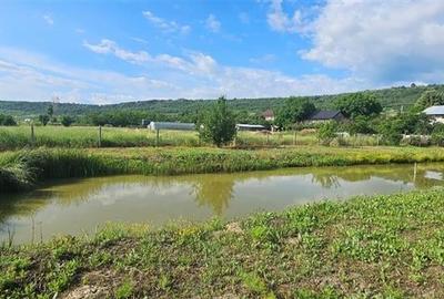Casă individuală cu 4 camere cu Teren 2400 Mp în Osoi (Comarna) - 10