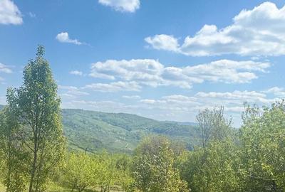 Teren de 4000 mp, în Predeal - 8