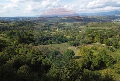 Teren intravilan de vanzare in Magureni - 3