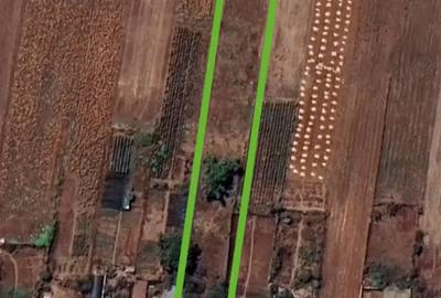 Casa Batraneasca + Teren Arabil - 5