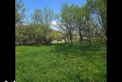 Teren de 2200 mp, în Ilia - 2