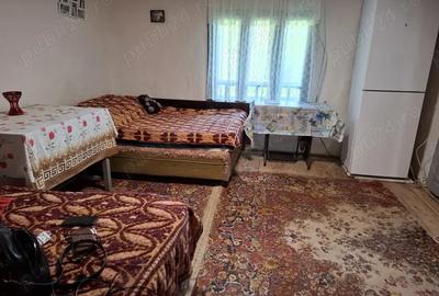 Casa in Moinesti cu teren 1870m2 si 90 m deschide la strada Stefan Luchian - 7