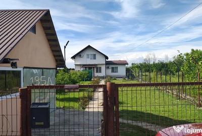Casă cu 4 camere în Mânăstioara - 4