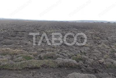 Teren de 10000 mp, în Central - 3