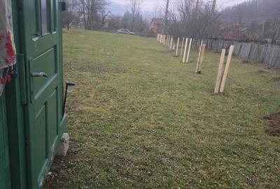 Spațiu comercial, în Lunca Mare - 2