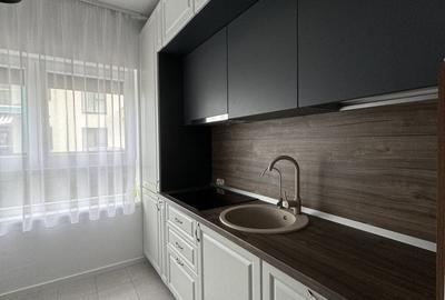 Apartament cu 2 camere semidecomandat în Dumbrăvița - 2