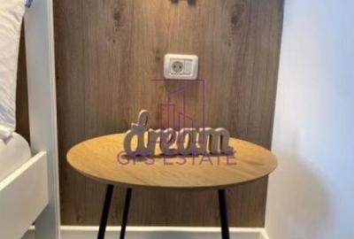 Apartament cu 2 camere, mobilat în Parcul Carol - 4