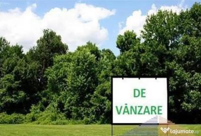 Teren de 12200 mp, în Rădăuți - 1