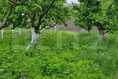 Oportunitate! Casa Bod pe un singur nivel, teren 980 mp pivnita, garaj ,mobilata - 7