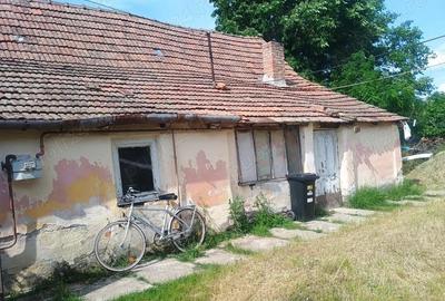 Casă cu 2 camere în Turnu - 5