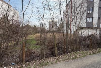 Teren de 617 mp, în Palazu Mare