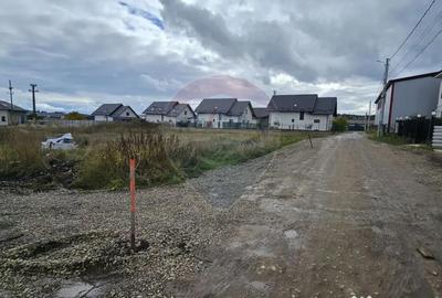 Teren de 720 mp, în Lisaura - 4