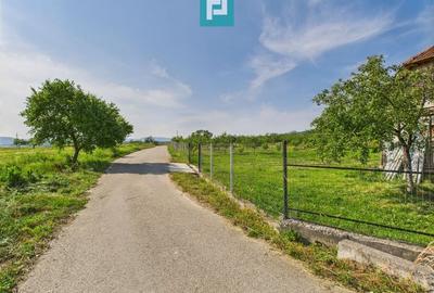 Casă cu teren de 4707 mp în Hălmăgel, județul Arad - 13