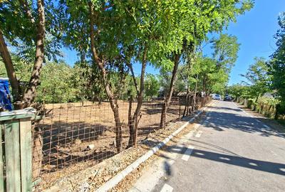 Teren curatat de vegetatie, 1600mp, strada Musat Voda nr. 26-28, - 2