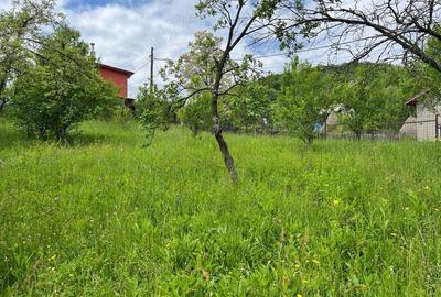 Teren de 4200 mp, în Ocina de Sus