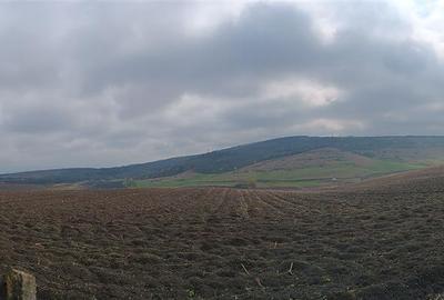 Teren Construcții intravilan de 46000 mp, în Dorobanț - 8