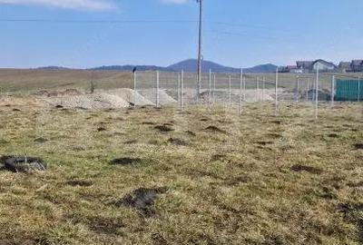 Casă cu Teren 520 Mp în Sânpetru - 3