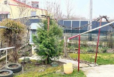 Casa individuala + Teren 4600 mp- Siret - 10