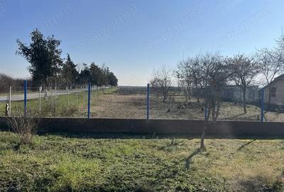 Teren în Sânmartinu Sârbesc - 1
