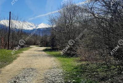 Teren intravilan 2600 mp de pe Valea Avrigului - 1