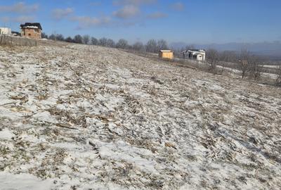 Spațiu comercial, în Tomești - 3