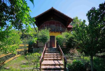 De vanzare Casa de Vacan?a cu 3 camere, teren 1146 mp... - 31