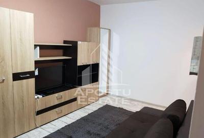 Apartament o camera, Sagului, clima, complet mobilat si u... - 1