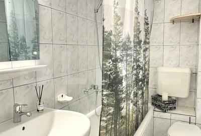 Blitz ofera spre vanzare un apartament cu 4 camere, complet renovat - 7