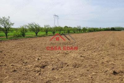 Teren extravilan in Banesti, 2400mp, 10e - 7