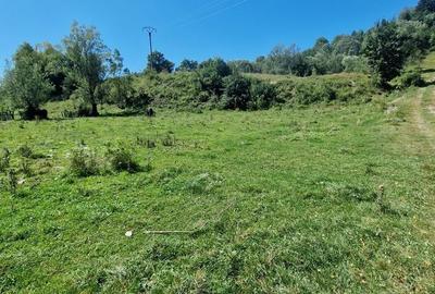 Teren de 17940 mp, în Vama - 3