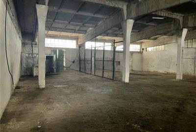 Spațiu comercial, de 25,831 mp, în Periș - 8