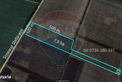 Teren de 79000 mp, în Dascălu - 3