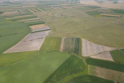 Teren de 400000 mp, în Zărand - 3