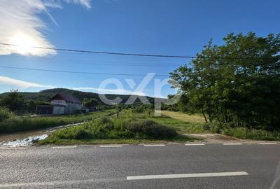 Teren Construcții intravilan de 8214 mp, în Mioveni - 1