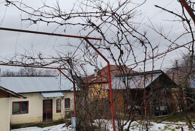 Teren 507mp cu casa batraneasca Valea Popii (Mihaesti), Arges - 11