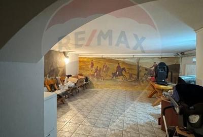 Casa / Vila cu 8 camere de vanzare - 5
