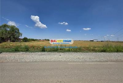 Teren Construcții intravilan de 24995 mp, în Clinceni - 8