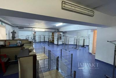 Spatiu Comercial de Vanzare in Marasti, 200 mp, Intrari Separate - 13