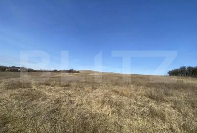 Teren de 140551 mp, în Recea - 5